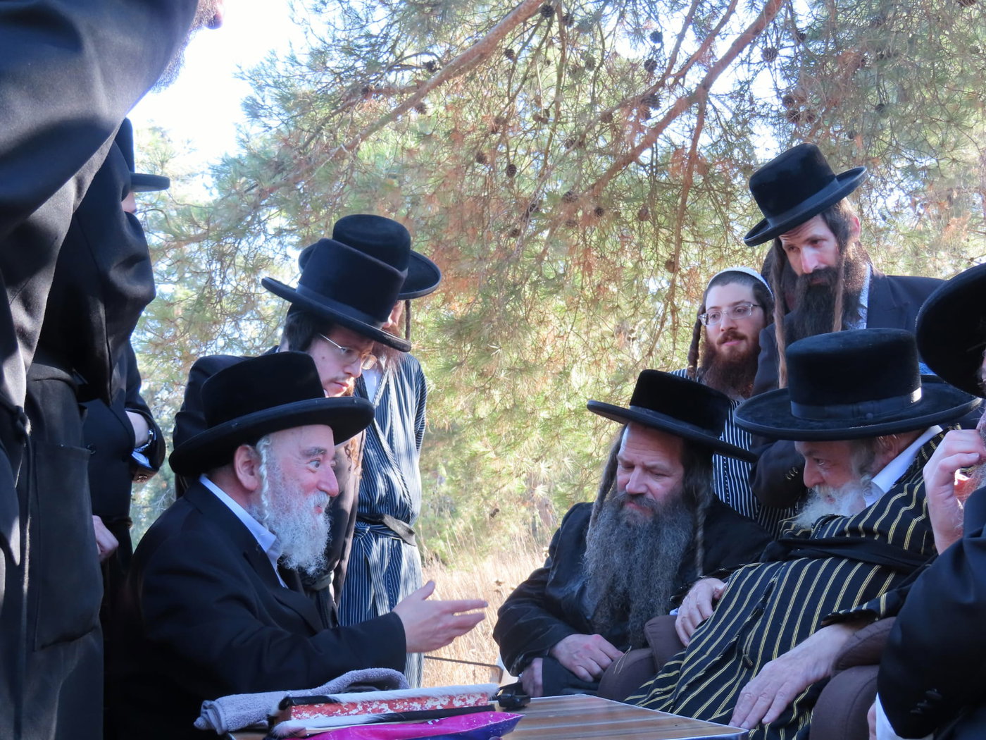 האדמו"ר מתולדות אברהם יצחק בנאות דשא