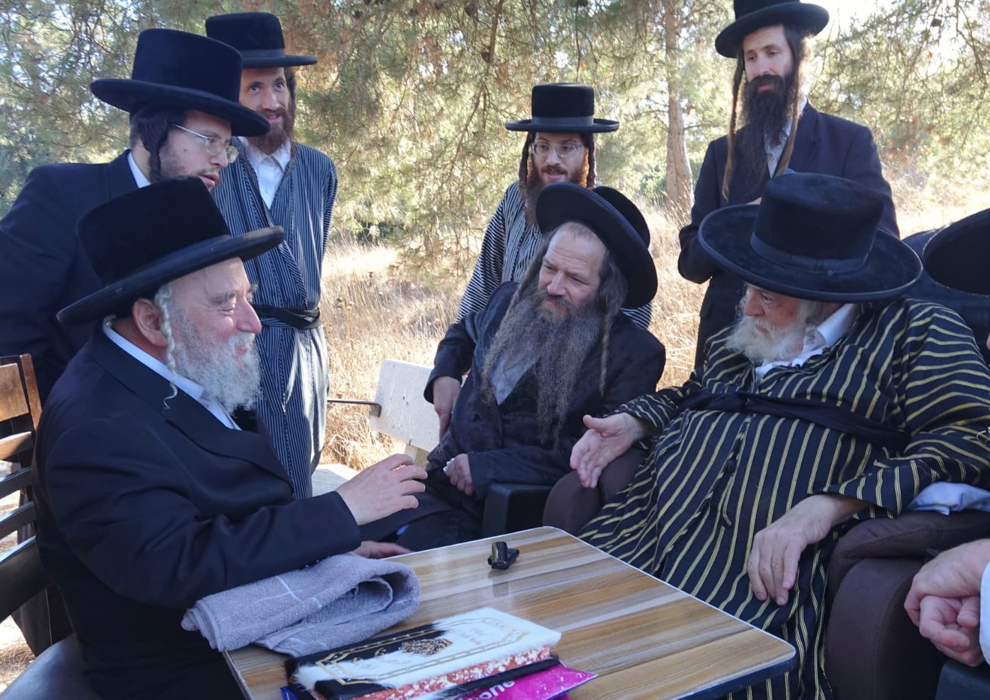 האדמו"ר מתולדות אברהם יצחק בנאות דשא