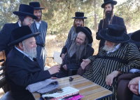 האדמו"ר מתולדות אברהם יצחק בנאות דשא