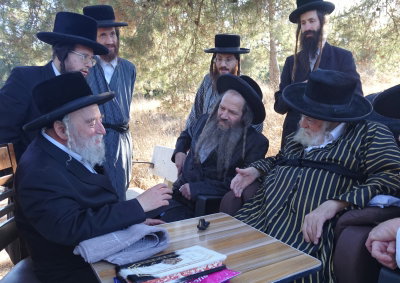 האדמו"ר מתולדות אברהם יצחק בנאות דשא