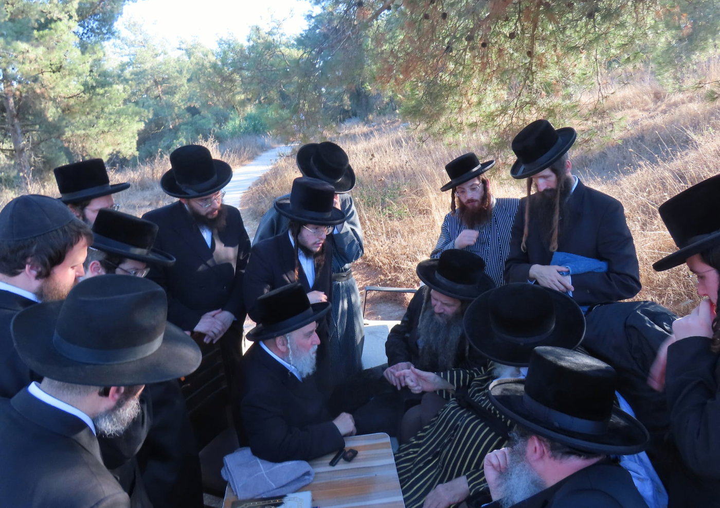 האדמו"ר מתולדות אברהם יצחק בנאות דשא