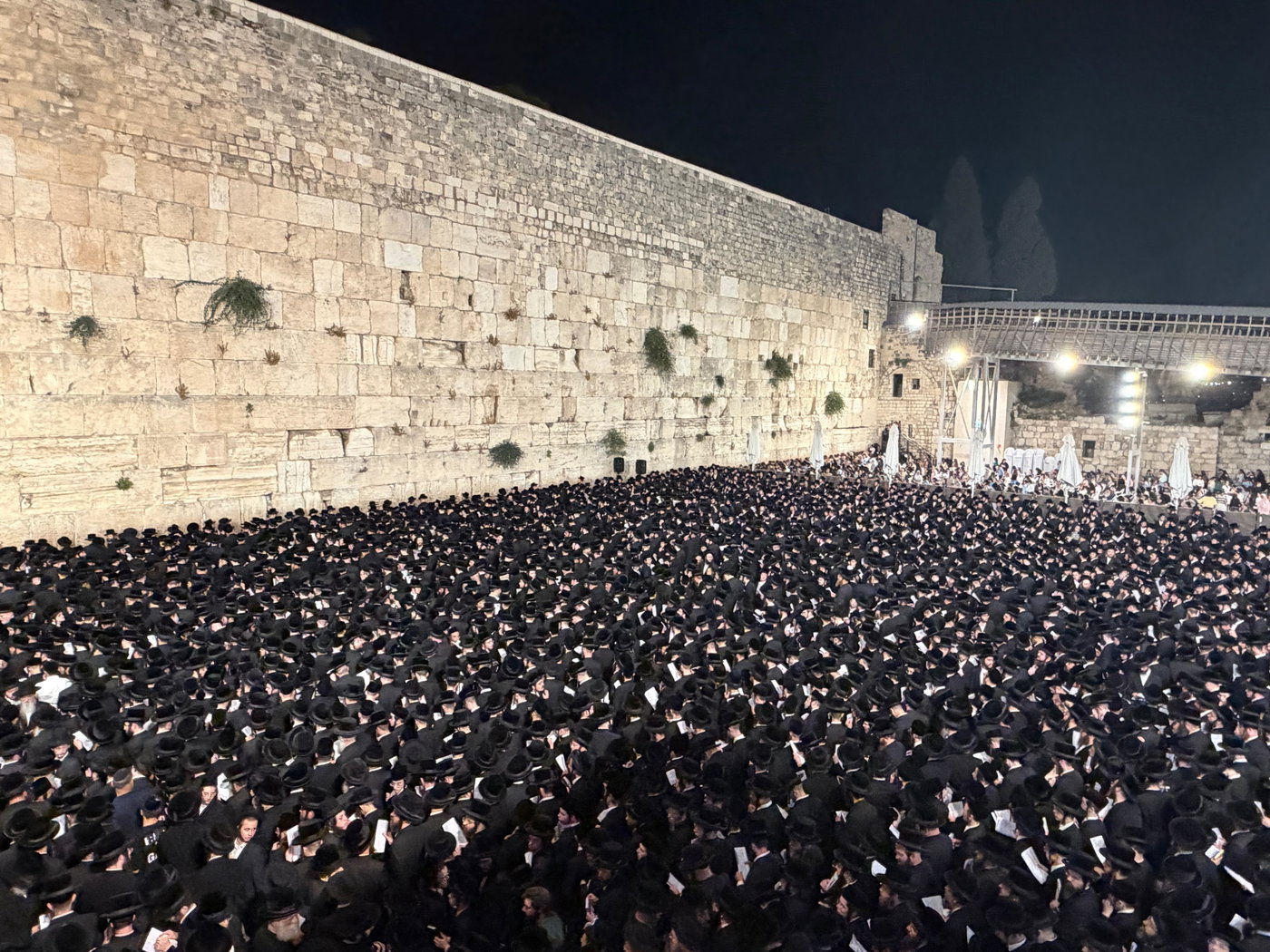חסידי ויז'ניץ בכותל