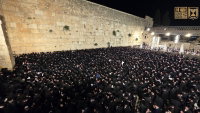 חסידי ויז'ניץ בכותל