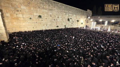 חסידי ויז'ניץ בכותל