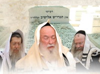בציון הגרי"ש אלישיב זצ"ל: מעמד ישועות מיוחד של חתנו הגר"י זילברשטיין