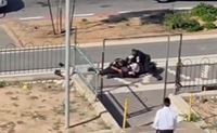 סערה באשדוד: אברך חסיד גור הותקף בידי שוטרים, שגילו; "טעות בזיהוי"