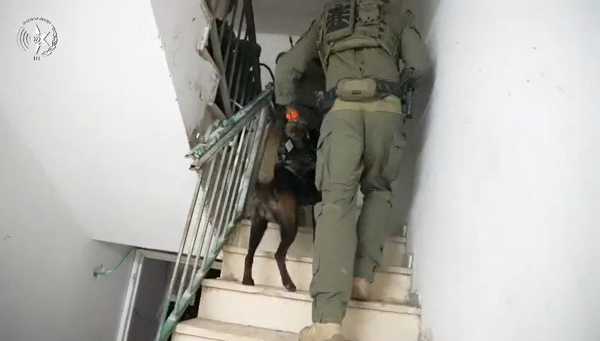 מבצע המעצרים של המשטרה