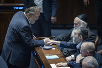 הח"כים במליאה