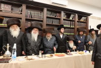 שמחת בית נאדבורנא באניא -  סערדעהלי