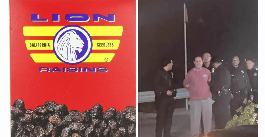ברוס ליון בעלי אימפריית הצימוקים
