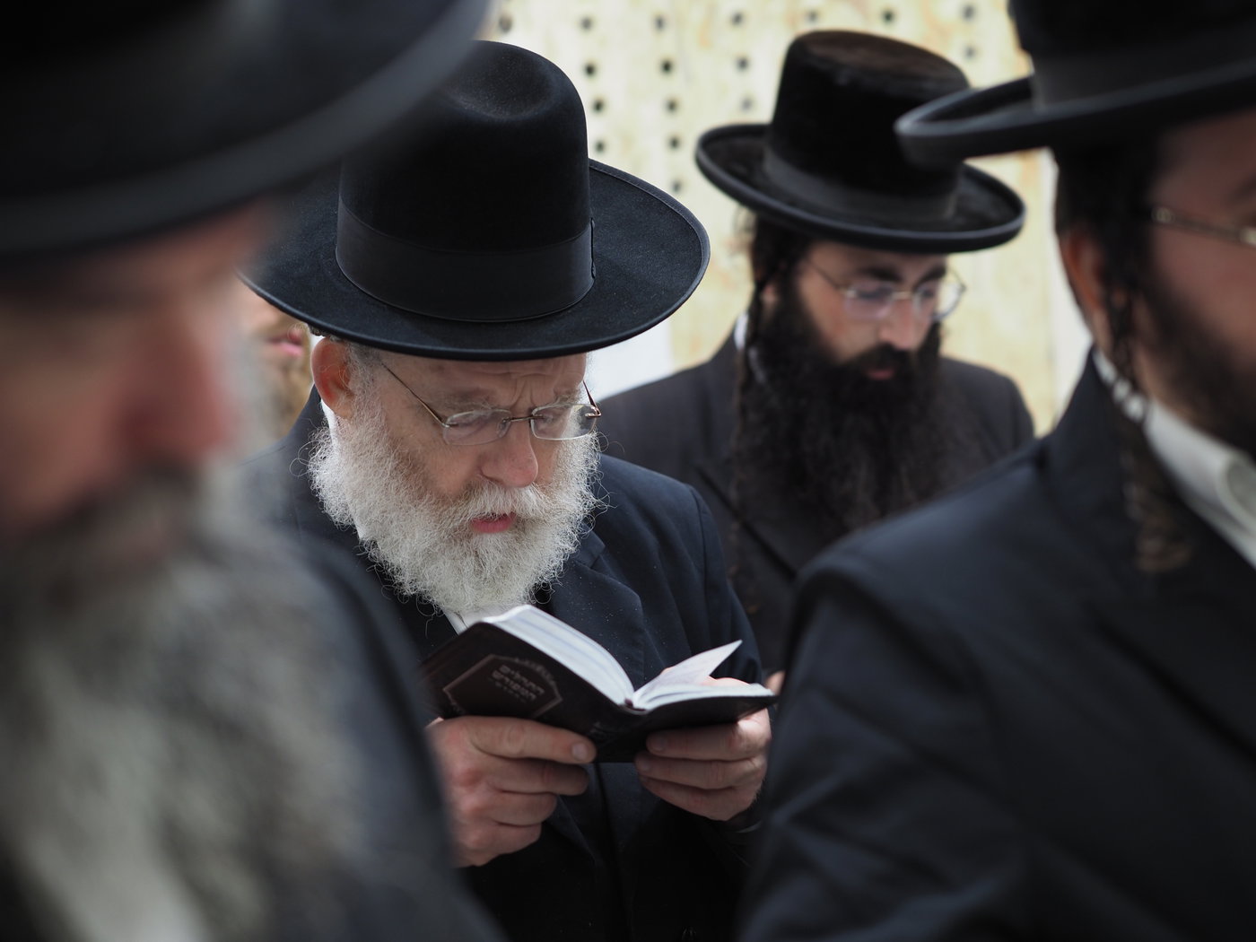 הילולת הרה"ק רבי שלמה מקרלין בעיירה לודמיר