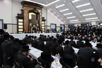 הילולת ה'אהל שלמה' מצאנז זוועהיל זצ"ל