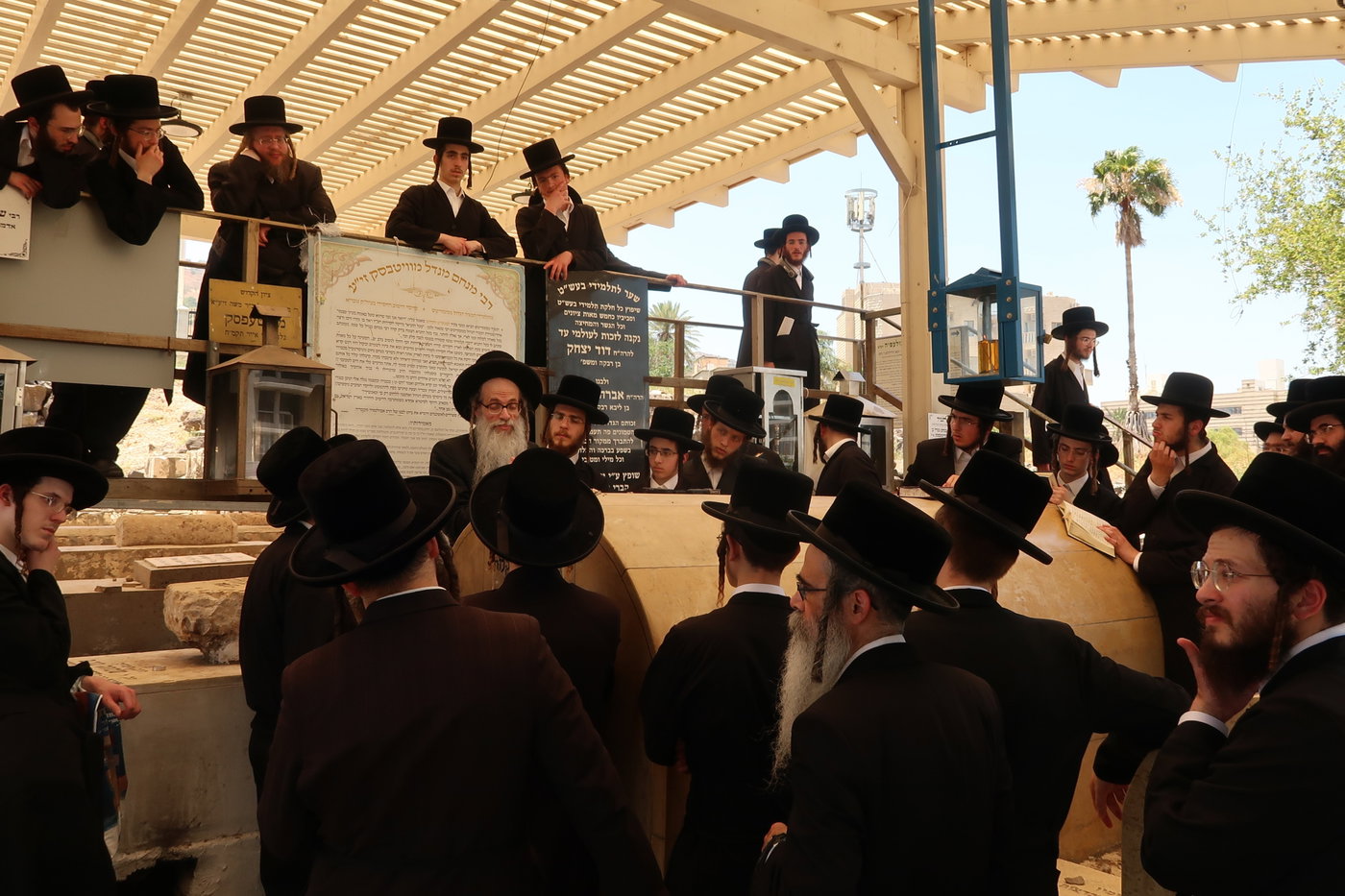 האדמו"ר מצאנז זוועהיל בביקור בארץ