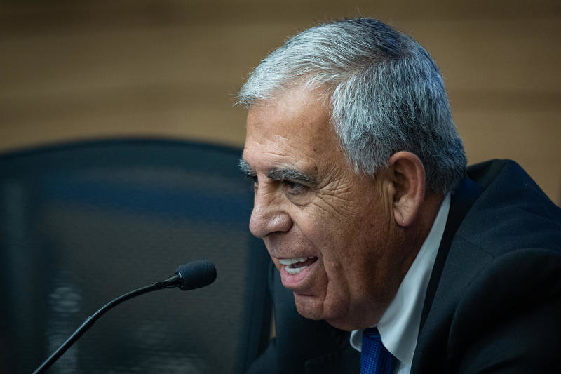 חה"כ מיקי לוי