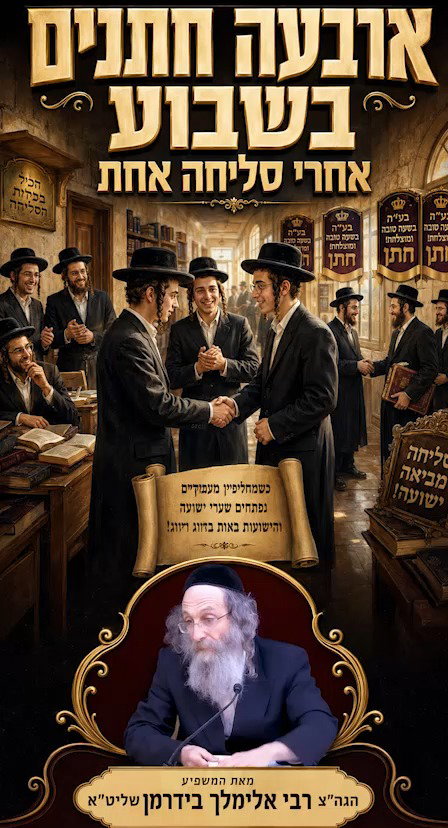 ארבעה חתנים בשבוע - אחרי סליחה אחת | צפו ברבי אלימלך בידרמן