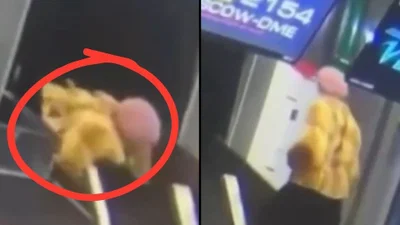 רגע הזוי בשדה התעופה: קשישה נעלמה בתוך מסוע המזוודות | צפו 