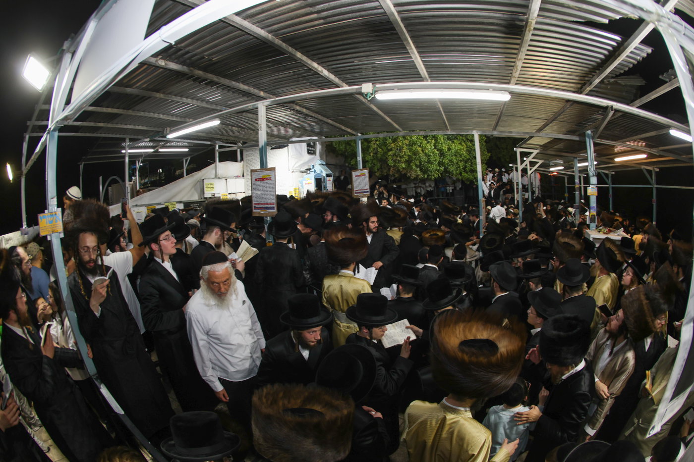הילולת האר"י בצפת