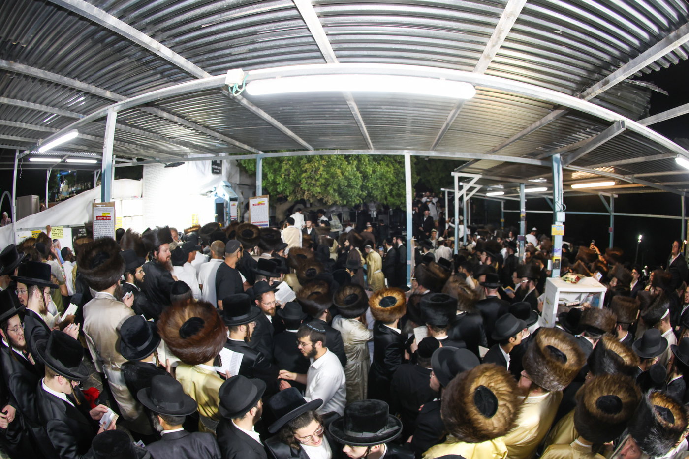 הילולת האר"י בצפת