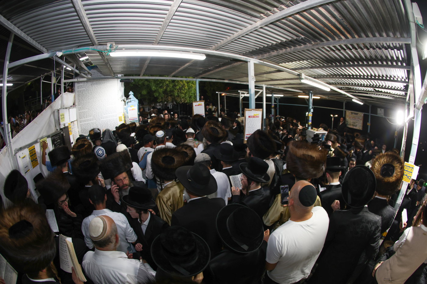 הילולת האר"י בצפת