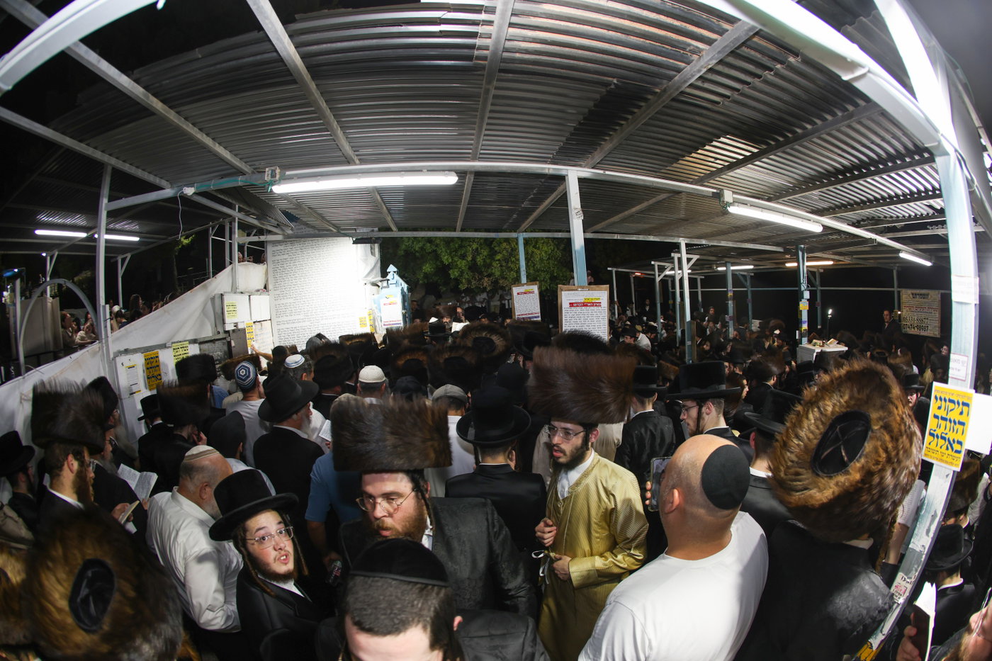 הילולת האר"י בצפת