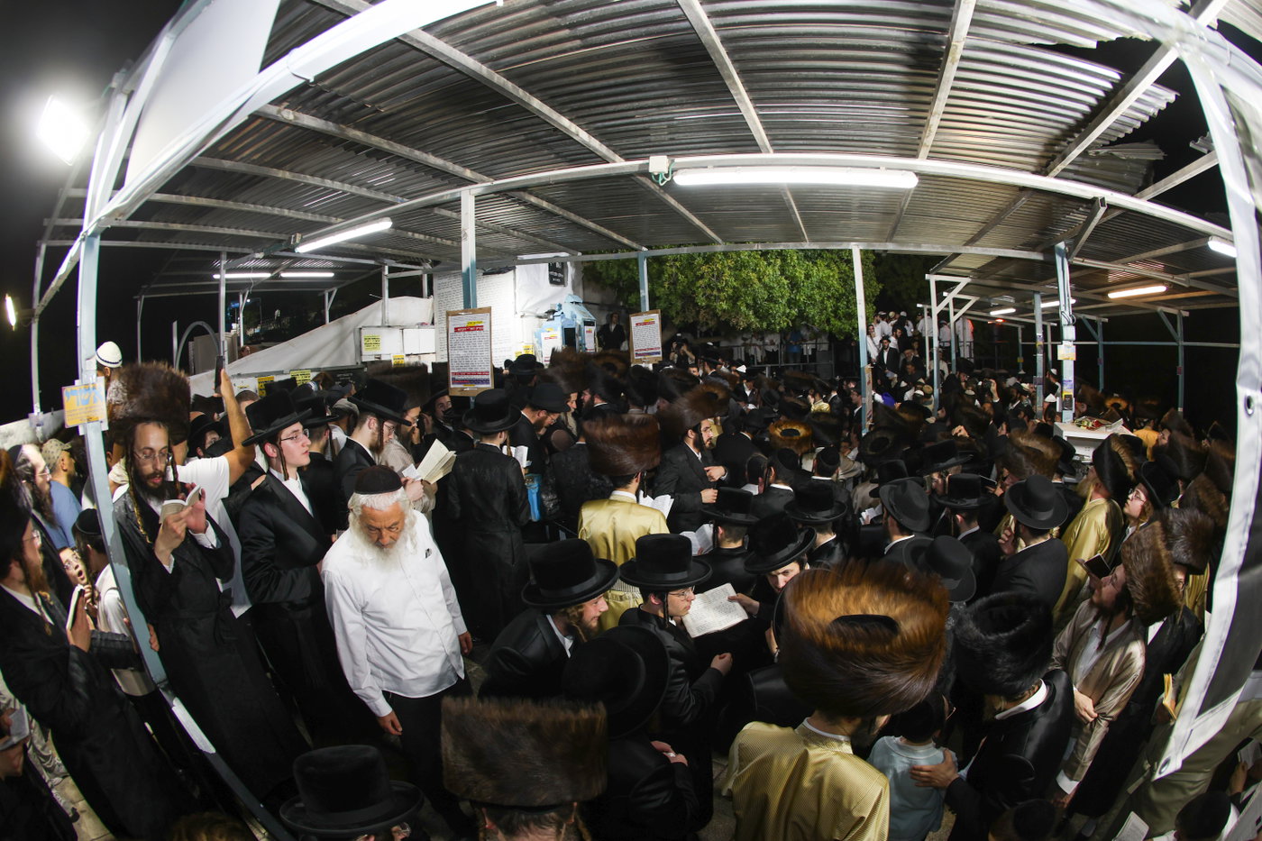 הילולת האר"י בצפת