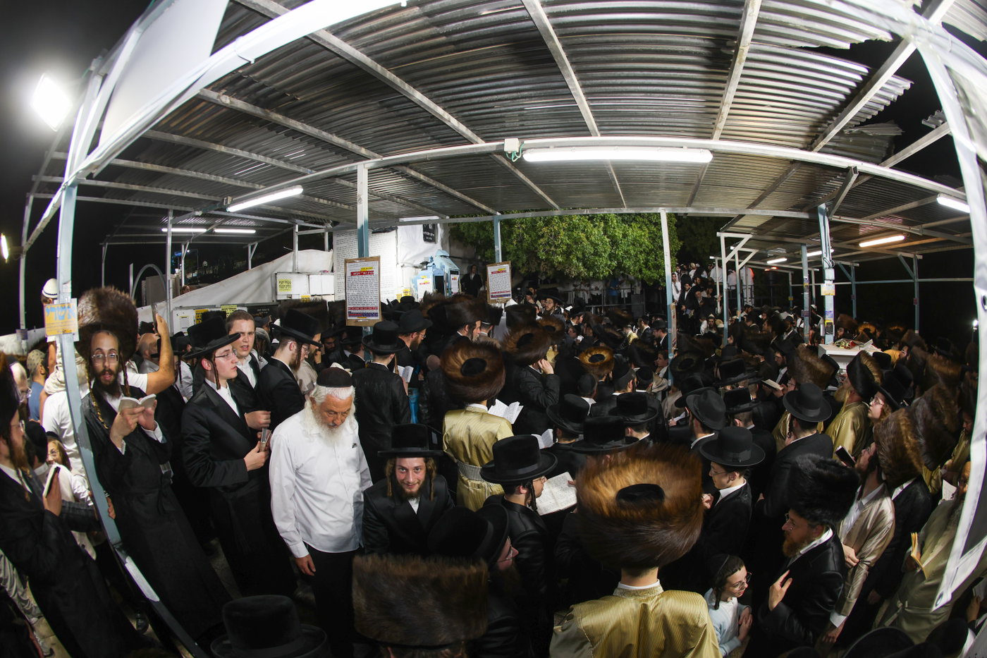 הילולת האר"י בצפת
