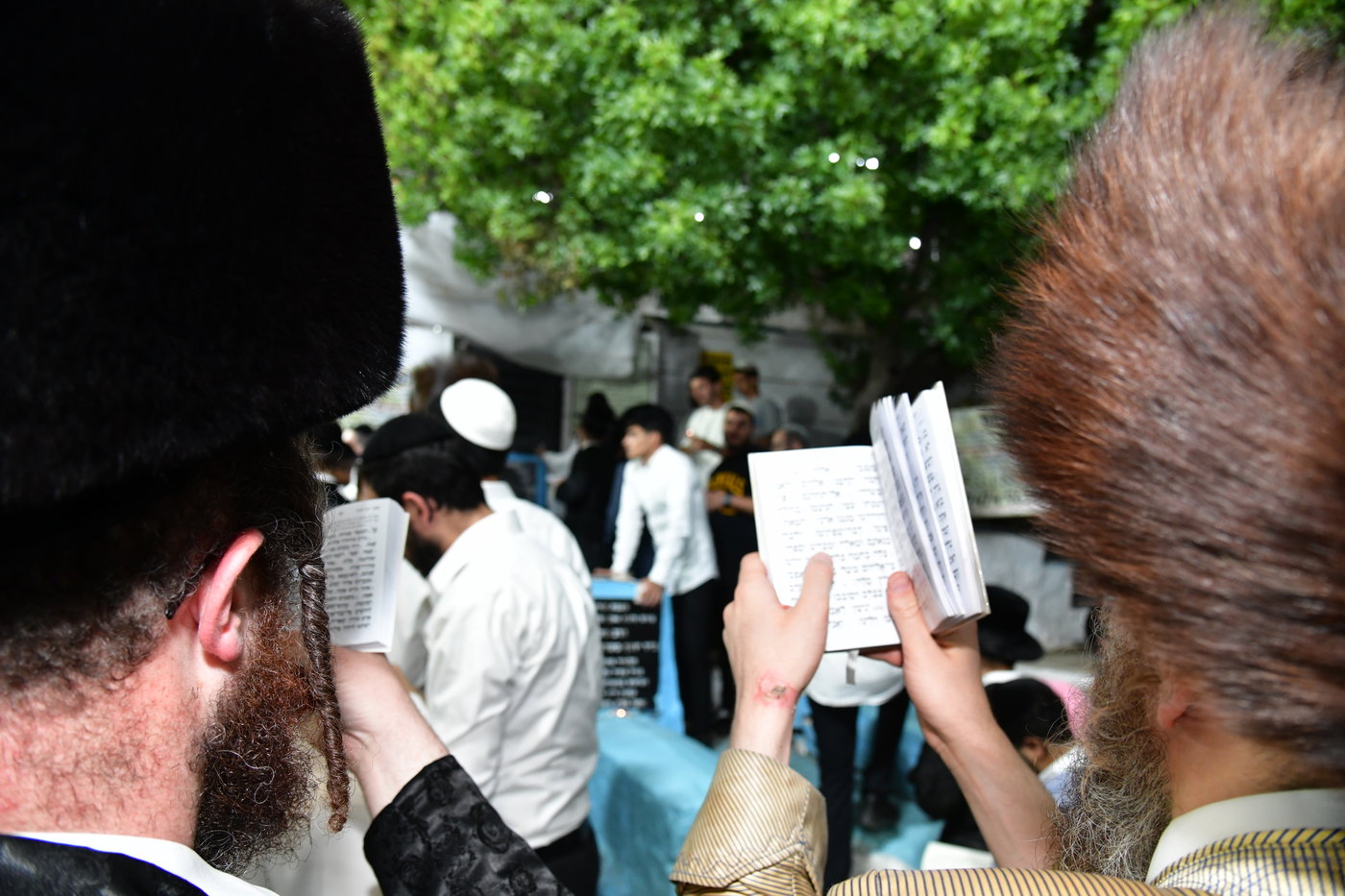הילולת האר"י בצפת