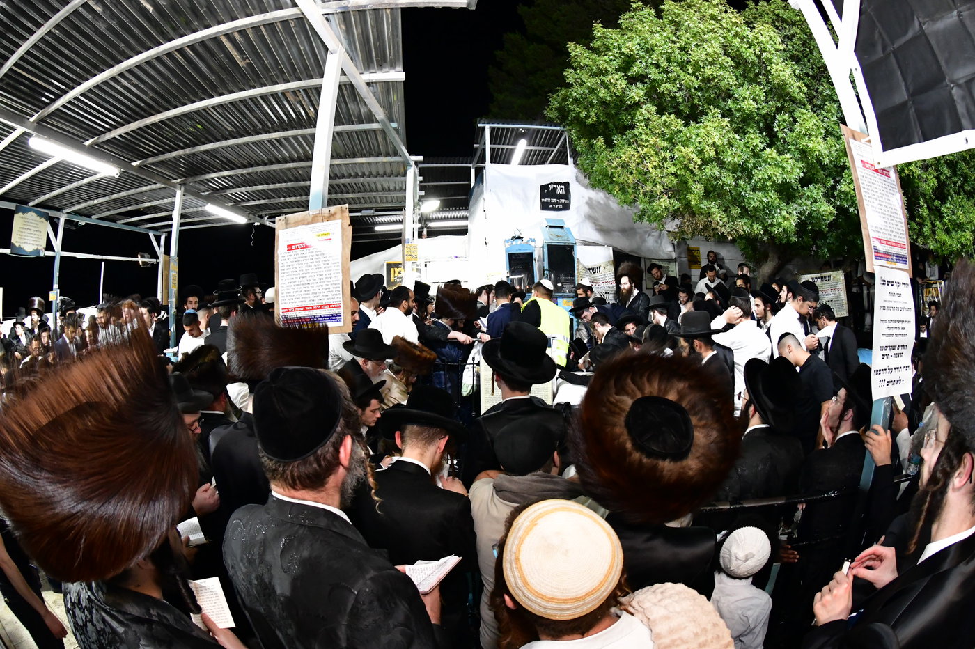 הילולת האר"י בצפת