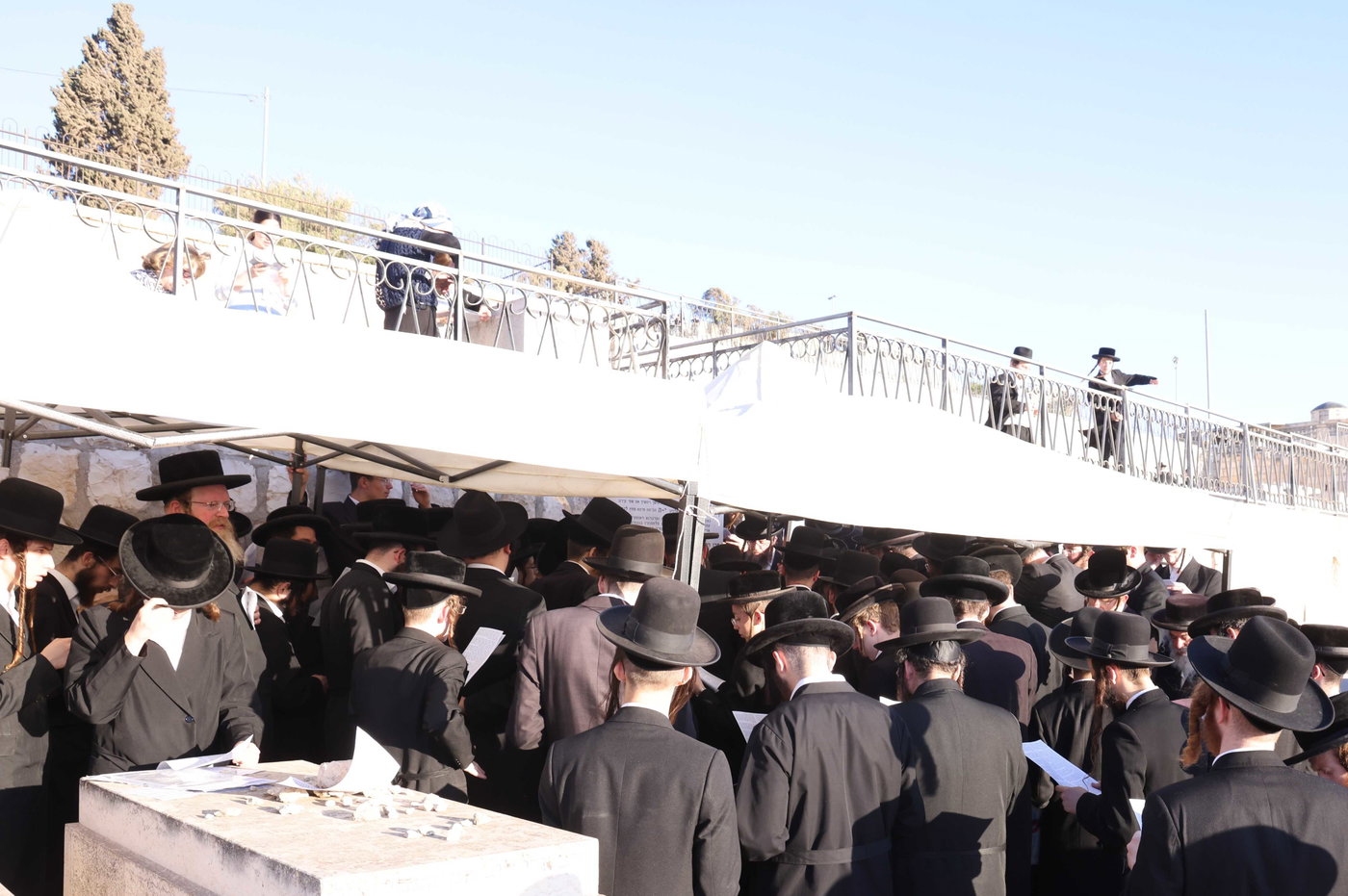 הילולת הגרי"ט וייס זצ"ל