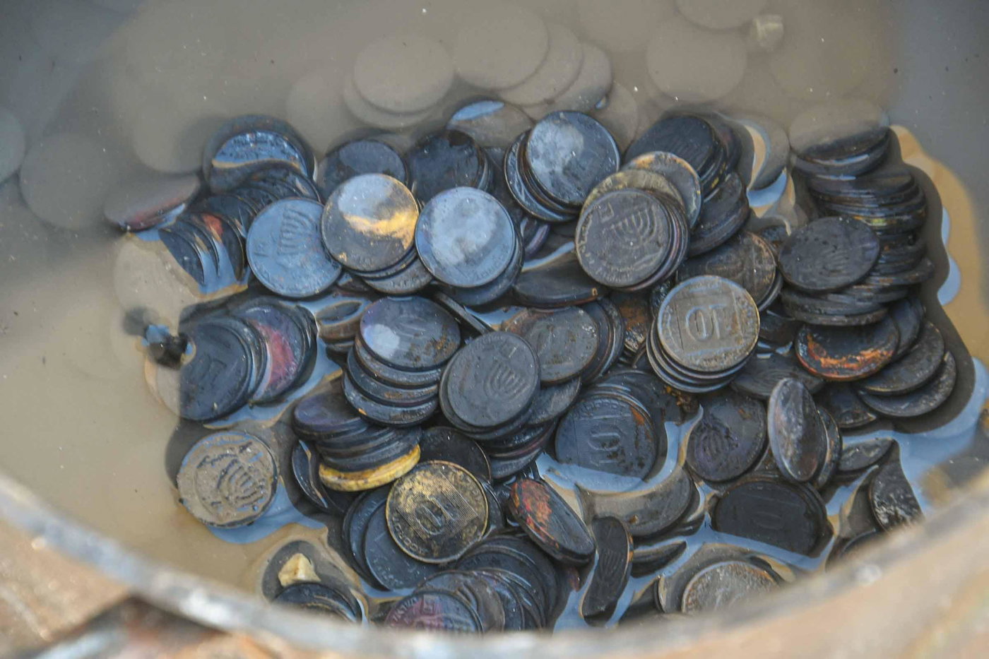 זירת השריפה בחוות גלעד שבשומרון