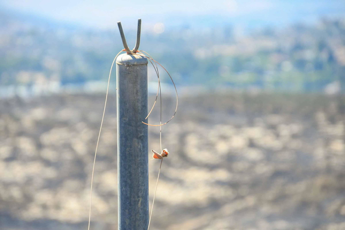זירת השריפה בחוות גלעד שבשומרון
