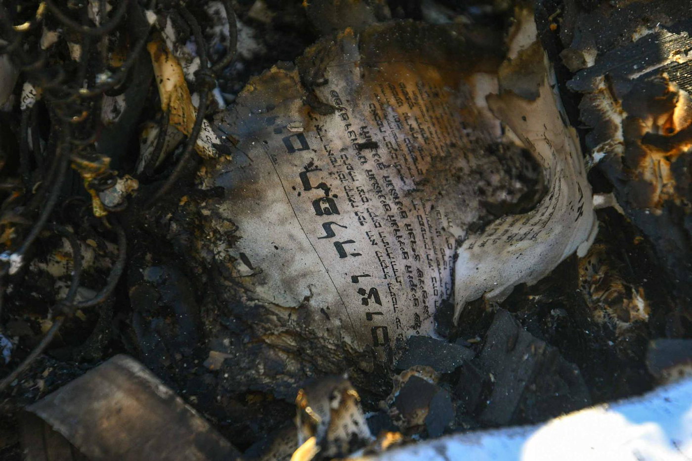 זירת השריפה בחוות גלעד שבשומרון
