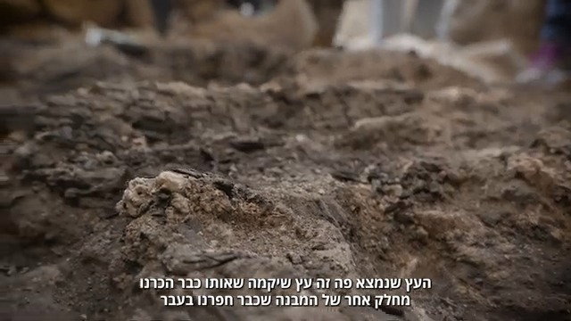 קורות עץ שרופות מחורבן הבית הראשון התגלו בעיר דוד