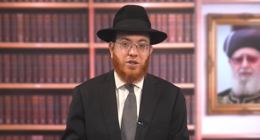 אורז עם אפונה וסלט ירקות: מה מותר לאכול בסעודה מפסקת?