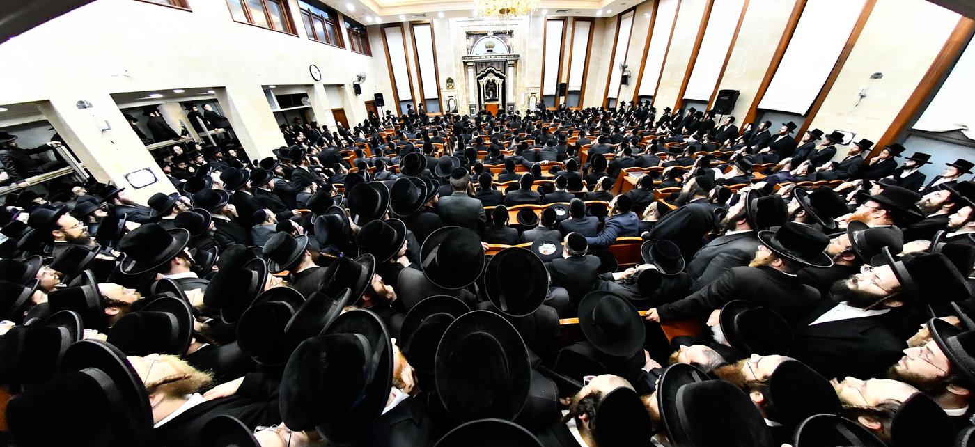 האדמו"ר משבט הלוי בשיחת הדרכה