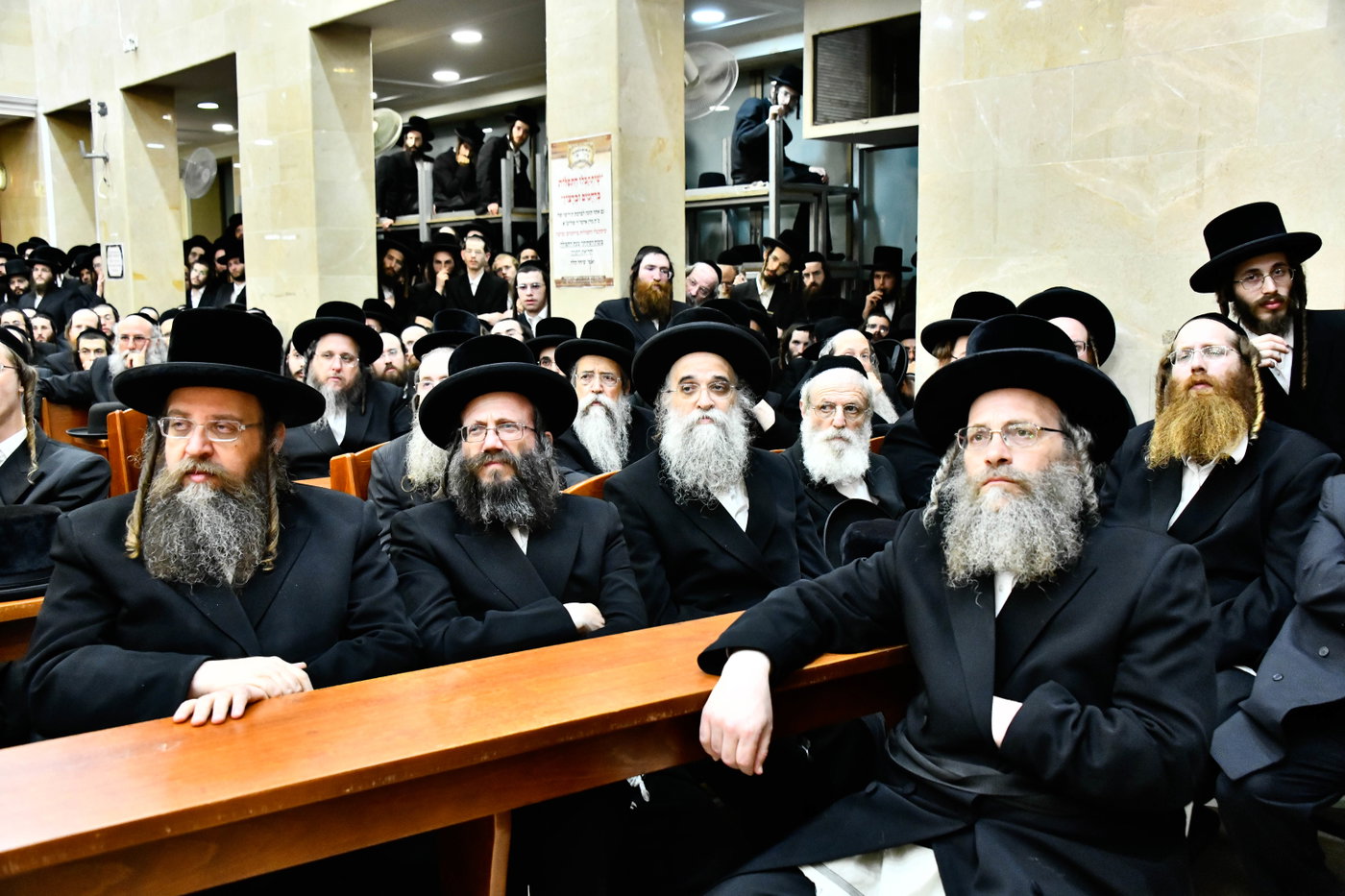 האדמו"ר משבט הלוי בשיחת הדרכה