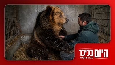 נס: פיגוע סוכל בירושלים | כך הדוב הגיב לבדיקה הוטרנירית • צפו