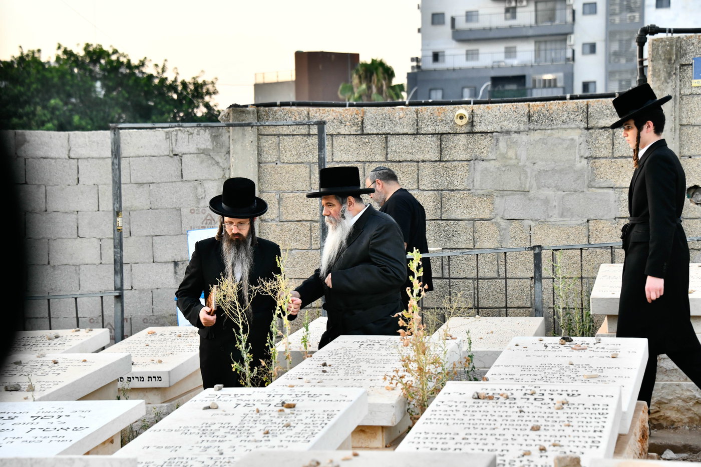 הילולא קדישא בקודינוב