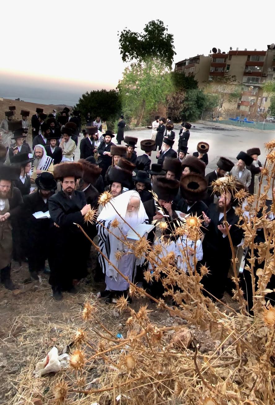 הגה"צ רבי אביש ציינווירט בצפת