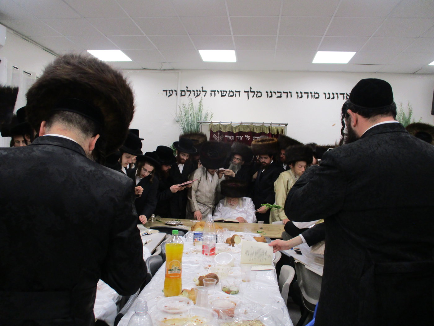 הגה"צ רבי אביש ציינווירט בצפת