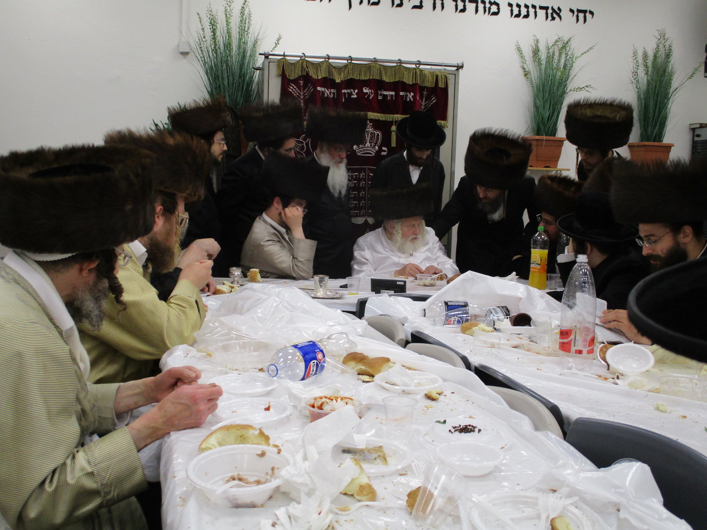 הגה"צ רבי אביש ציינווירט בצפת