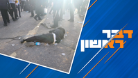 1,956 שנה לחורבן בית מקדשנו: איך בוכים על מה שלא הרגשנו? | תוכנית מרתקת