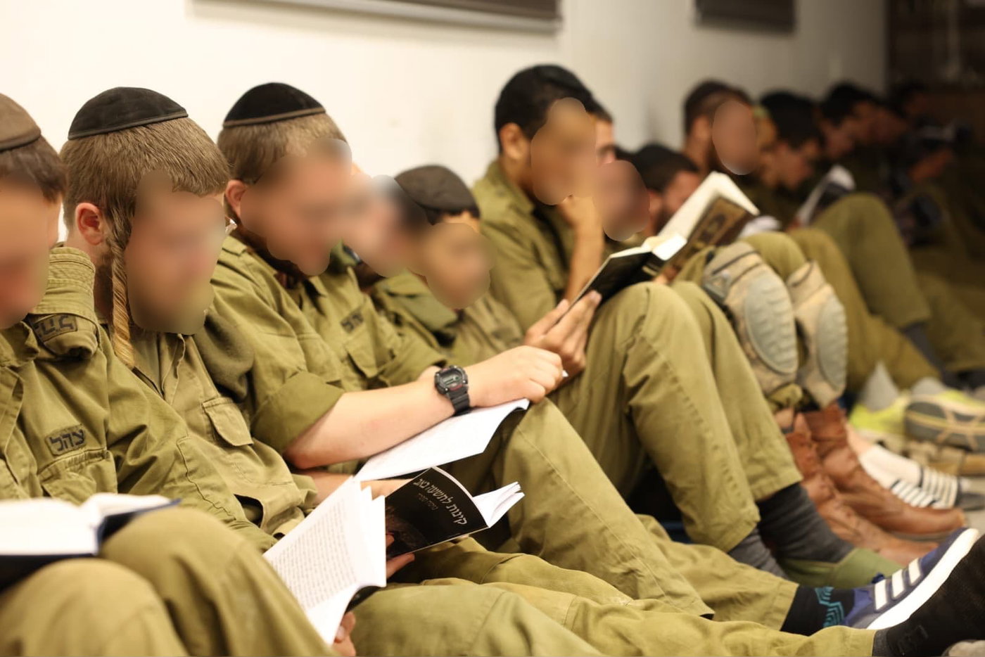 הנשיא הרצוג בחשמונאים
