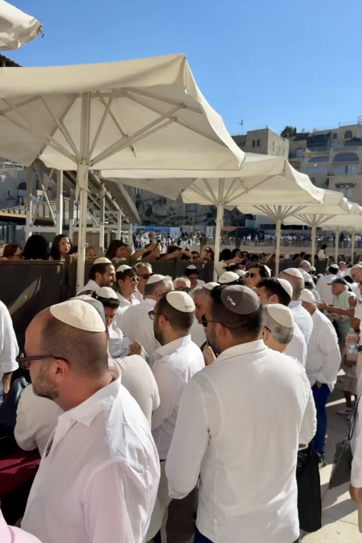 כך חגגו 52 נערים מקהילת 'אנוסי משהד' בר מצווה בכותל המערבי