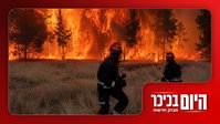 חוזרים למעצר בחורי הישיבות? | תיעודים מפחידים - אירופה נשרפת • צפו