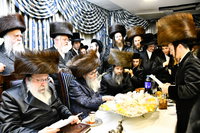 פדיון הבן בחצה"ק נדבורנה