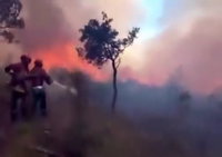 רבע מיליון מפונים בצרפת | דרמה:  השריפות מתקרבות לבורדו ומאיימות על העיר