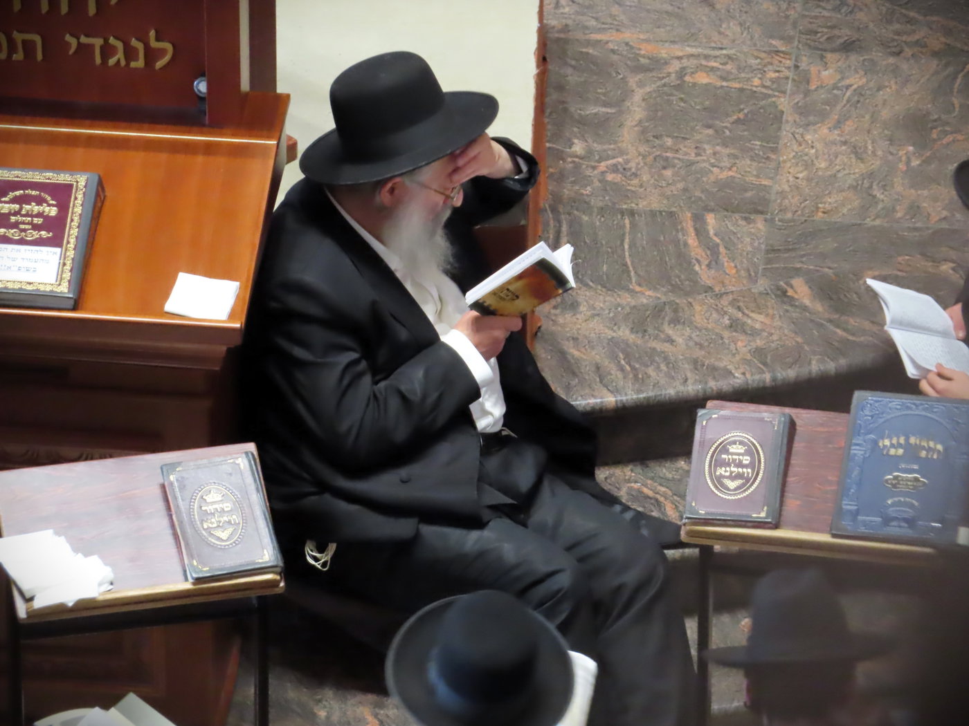 הגר"נ קופשיץ בתשעה באב