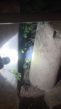 נוטרל חפץ חשוד שנמצא ליד ביתו של ח"כ אבי מעוז בעיר דוד בירושלים