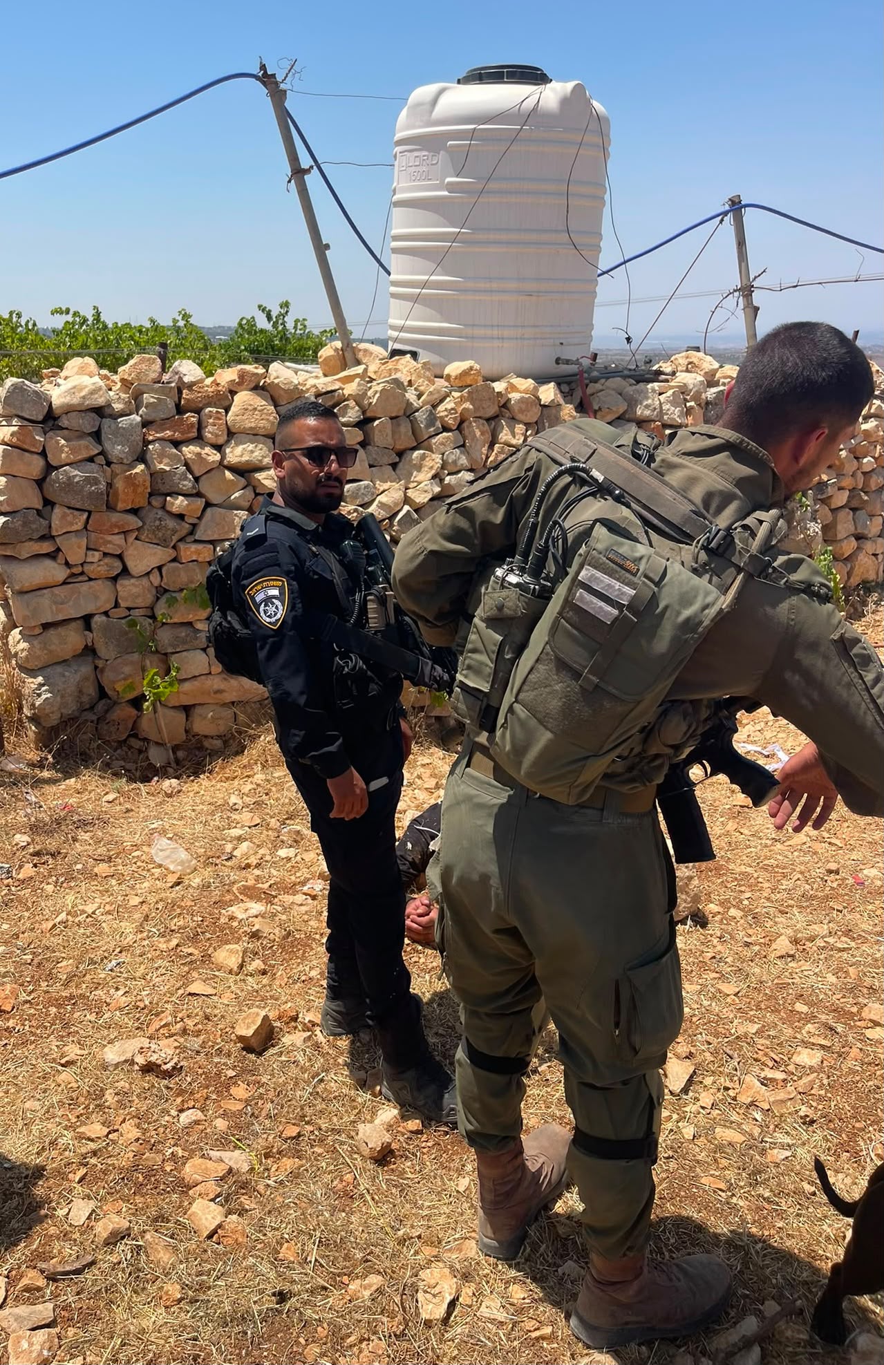 אירוע האלימות